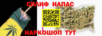 стафф Пенза