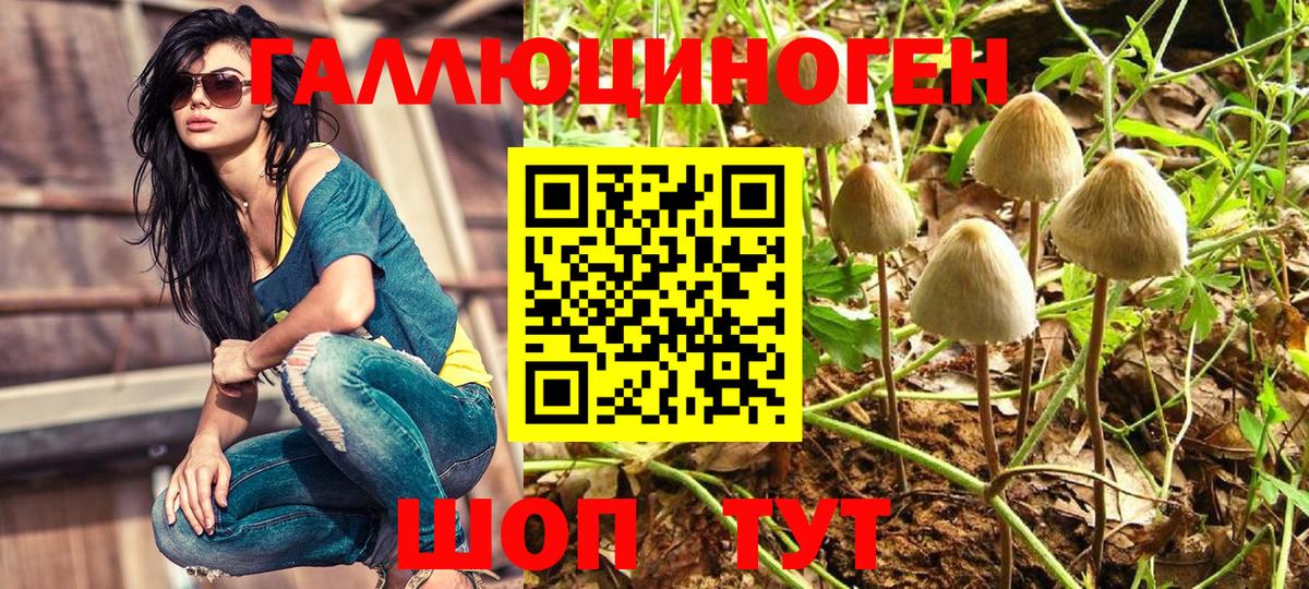 Полысаево  Псилоцибиновые грибы Psilocybine cubensis  Вход с VPN  Галлюциногенные грибы Psilocybe 