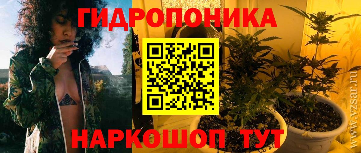 Каннабис конопля Полысаево